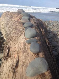 1798171_1502095380053091_781940667386817993_n